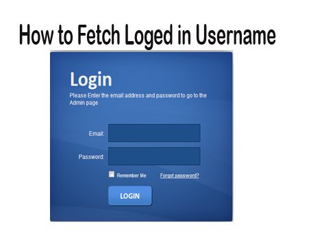 How to Fetch Loged in Username