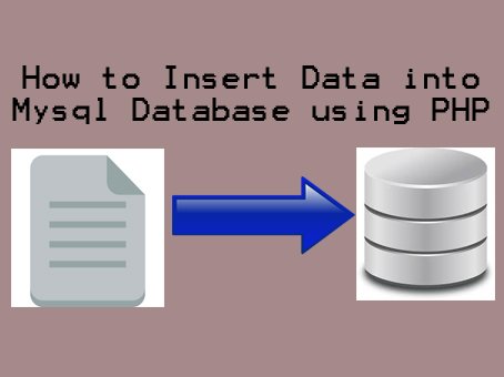 How to Insert Data into Mysql Database using PHP